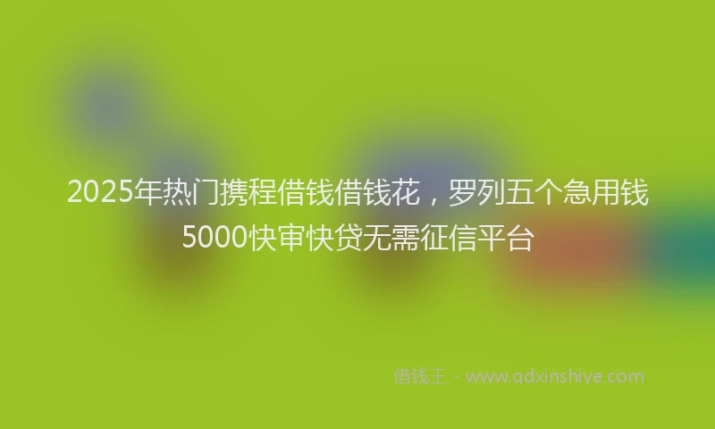 2025年热门携程借钱借钱花，罗列五个急用钱5000快审快贷无需征信平台