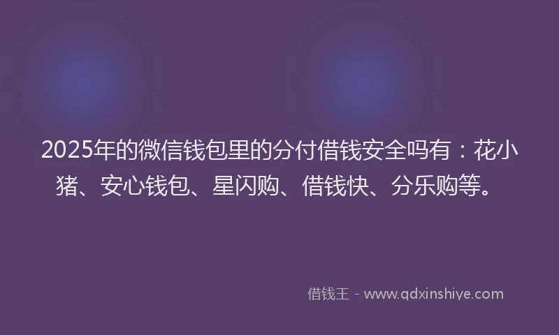 2025年的微信钱包里的分付借钱安全吗有：花小猪、安心钱包、星闪购、借钱快、分乐购等。
