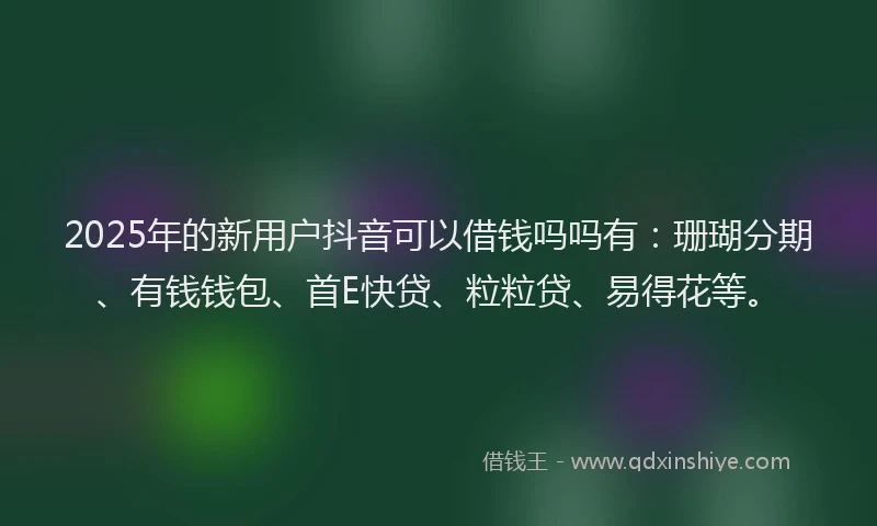 2025年的新用户抖音可以借钱吗吗有：珊瑚分期、有钱钱包、首E快贷、粒粒贷、易得花等。