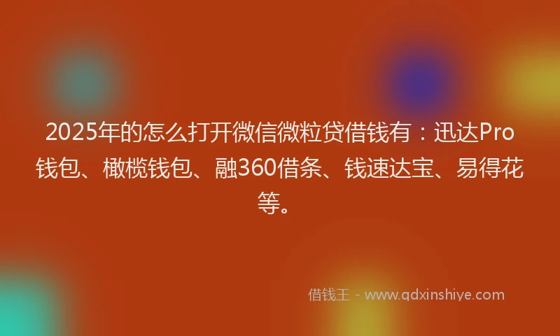 2025年的怎么打开微信微粒贷借钱有：迅达Pro钱包、橄榄钱包、融360借条、钱速达宝、易得花等。