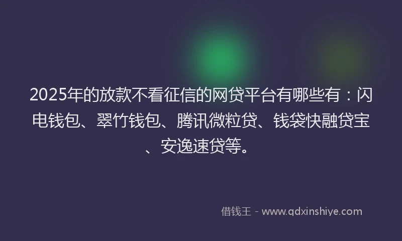 2025年的放款不看征信的网贷平台有哪些有：闪电钱包、翠竹钱包、腾讯微粒贷、钱袋快融贷宝、安逸速贷等。