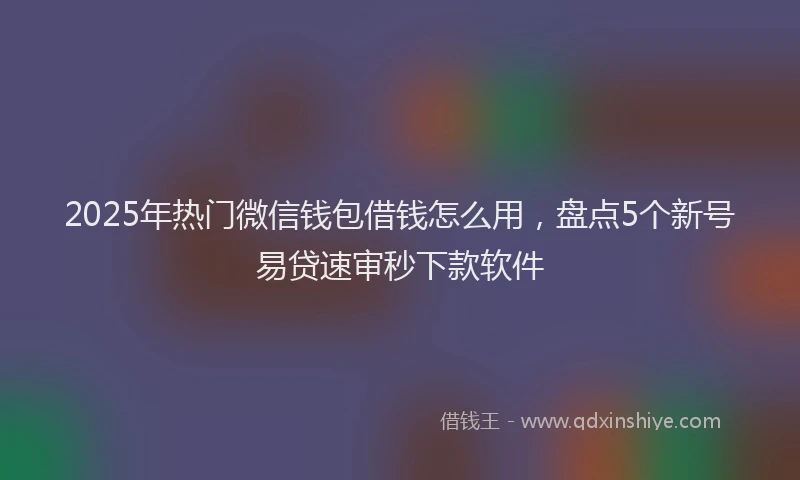 2025年热门微信钱包借钱怎么用，盘点5个新号易贷速审秒下款软件