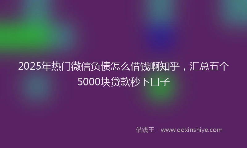 2025年热门微信负债怎么借钱啊知乎，汇总五个5000块贷款秒下口子