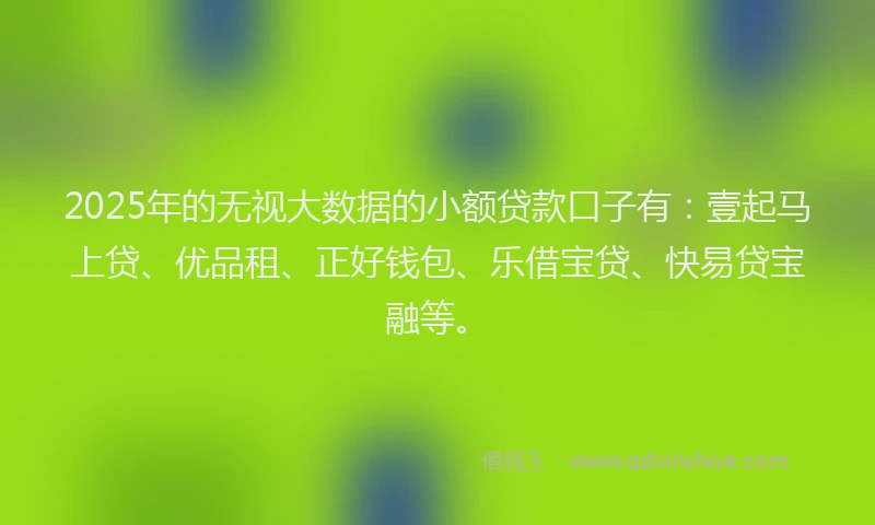 2025年的无视大数据的小额贷款口子有：壹起马上贷、优品租、正好钱包、乐借宝贷、快易贷宝融等。
