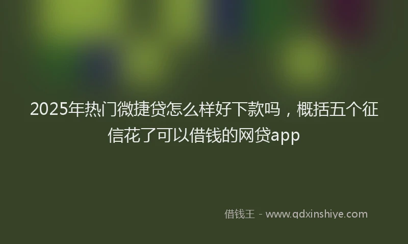 2025年热门微捷贷怎么样好下款吗，概括五个征信花了可以借钱的网贷app