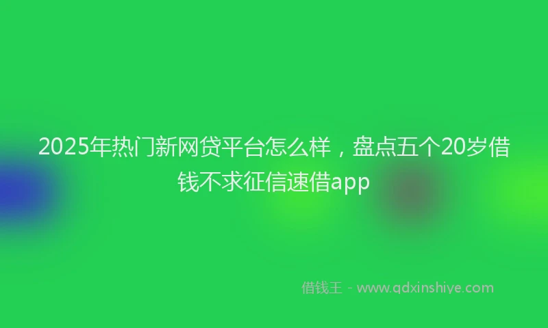 2025年热门新网贷平台怎么样，盘点五个20岁借钱不求征信速借app
