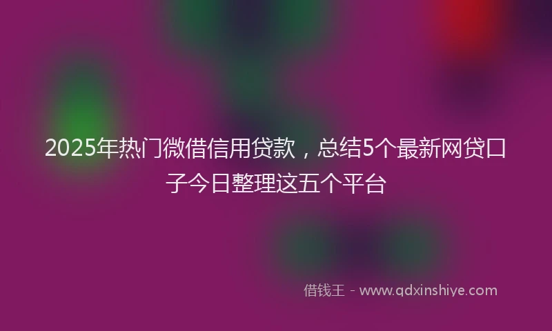 2025年热门微借信用贷款，总结5个最新网贷口子今日整理这五个平台