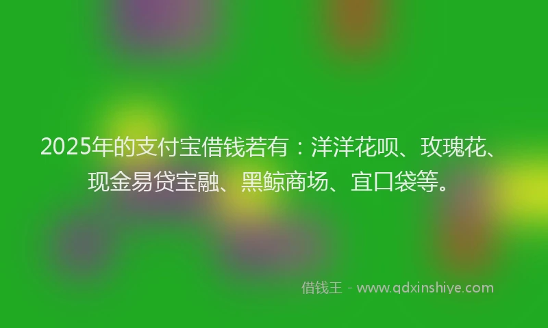 2025年的支付宝借钱若有：洋洋花呗、玫瑰花、现金易贷宝融、黑鲸商场、宜口袋等。