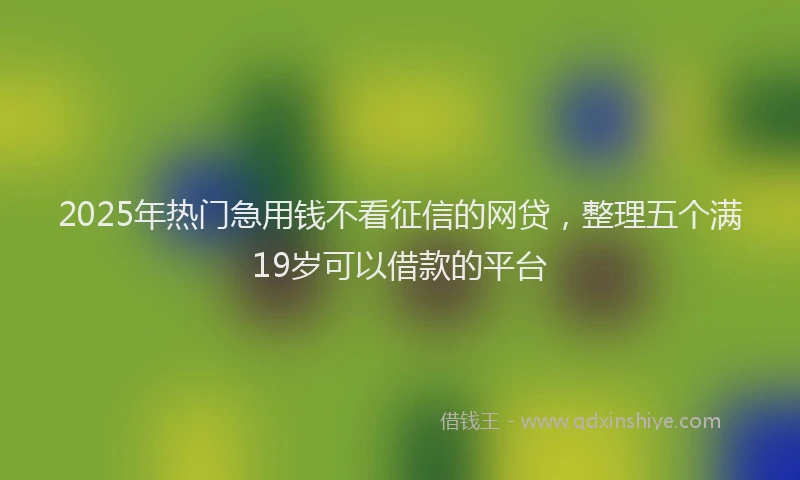 2025年热门急用钱不看征信的网贷，整理五个满19岁可以借款的平台