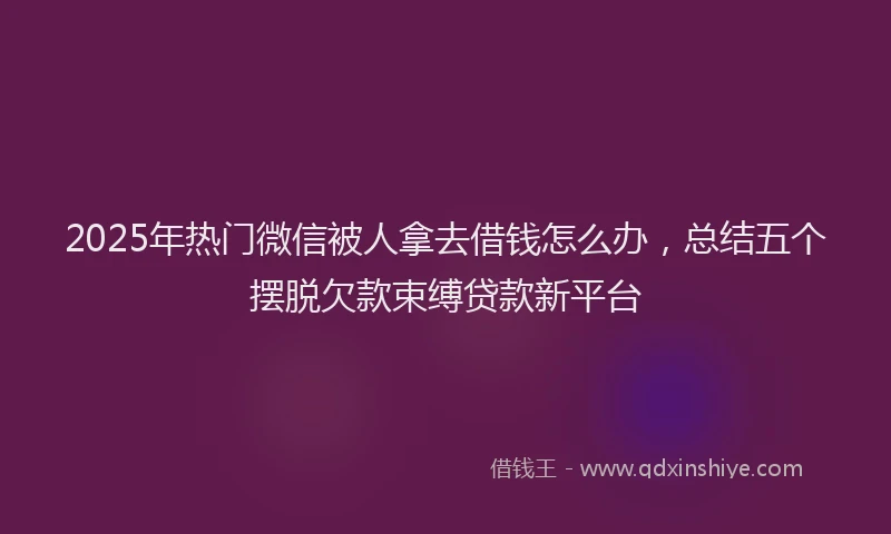 2025年热门微信被人拿去借钱怎么办，总结五个摆脱欠款束缚贷款新平台