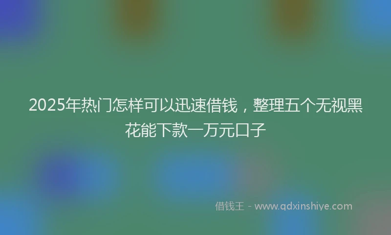 2025年热门怎样可以迅速借钱，整理五个无视黑花能下款一万元口子