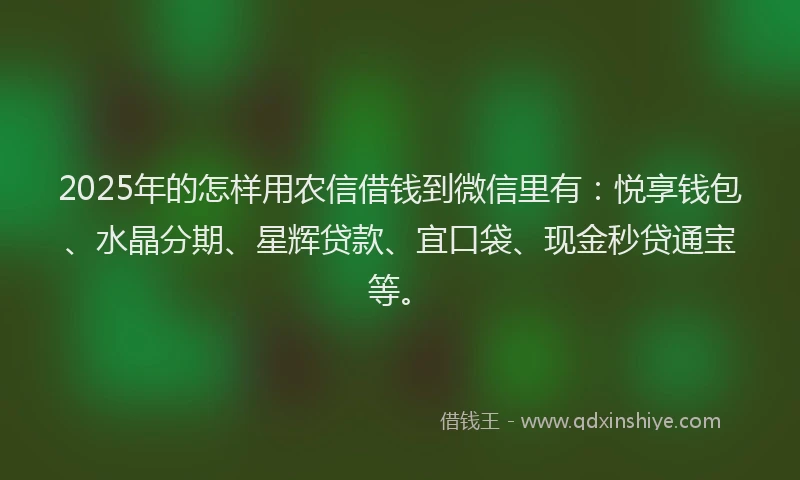 2025年的怎样用农信借钱到微信里有：悦享钱包、水晶分期、星辉贷款、宜口袋、现金秒贷通宝等。