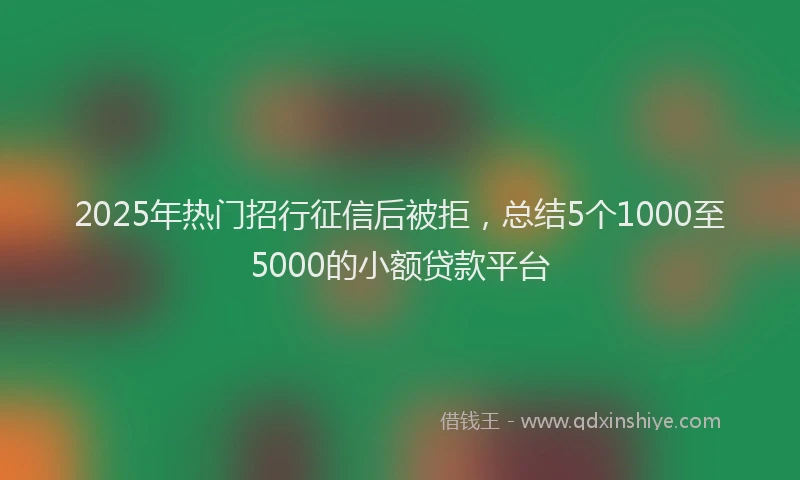 2025年热门招行征信后被拒，总结5个1000至5000的小额贷款平台