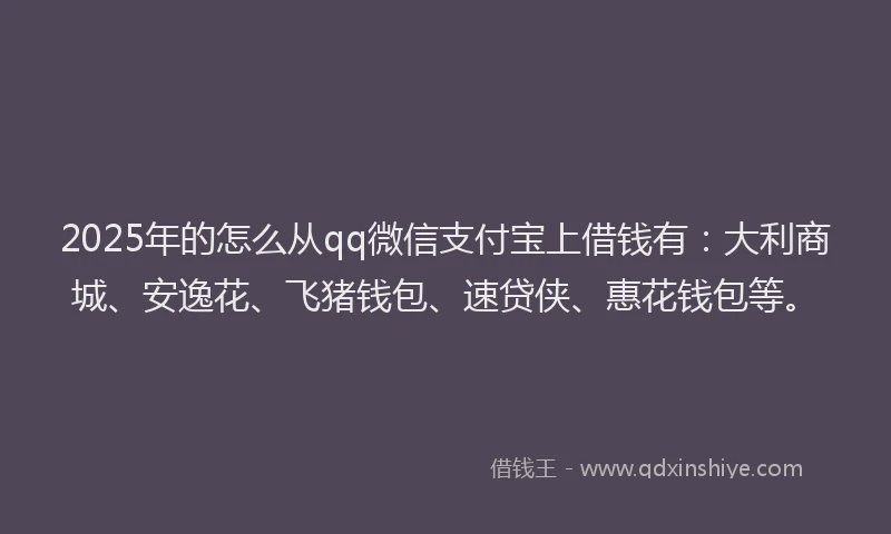 2025年的怎么从qq微信支付宝上借钱有：大利商城、安逸花、飞猪钱包、速贷侠、惠花钱包等。