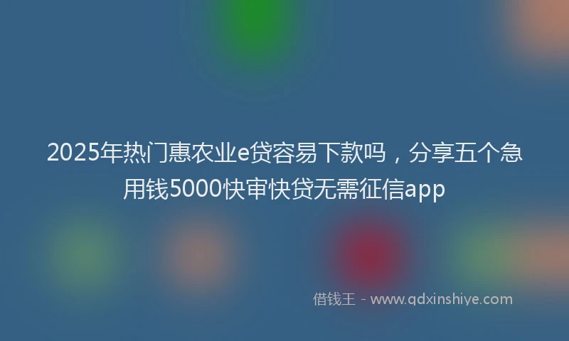 2025年热门惠农业e贷容易下款吗，分享五个急用钱5000快审快贷无需征信app