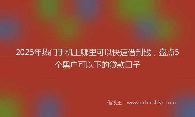 2025年热门手机上哪里可以快速借到钱，盘点5个黑户可以下的贷款口子