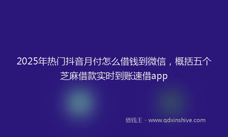 2025年热门抖音月付怎么借钱到微信，概括五个芝麻借款实时到账速借app