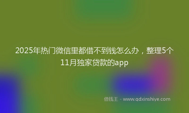 2025年热门微信里都借不到钱怎么办，整理5个11月独家贷款的app