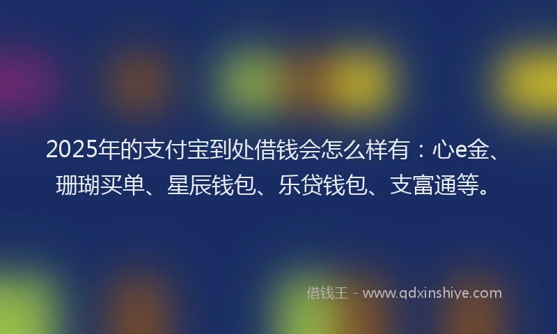 2025年的支付宝到处借钱会怎么样有：心e金、珊瑚买单、星辰钱包、乐贷钱包、支富通等。