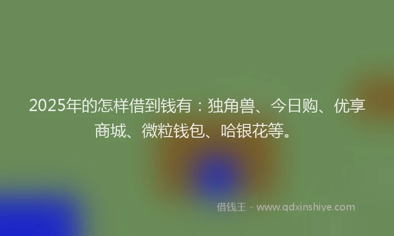 2025年的怎样借到钱有：独角兽、今日购、优享商城、微粒钱包、哈银花等。