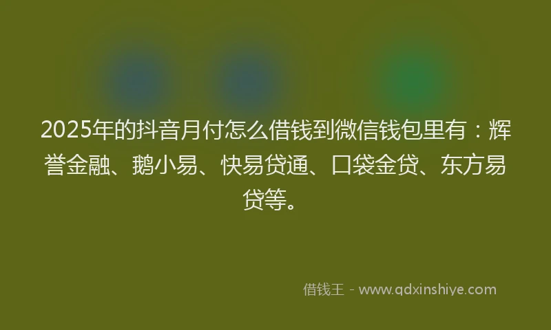 2025年的抖音月付怎么借钱到微信钱包里有：辉誉金融、鹅小易、快易贷通、口袋金贷、东方易贷等。