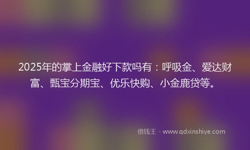 2025年的掌上金融好下款吗有：呼吸金、爱达财富、甄宝分期宝、优乐快购、小金鹿贷等。
