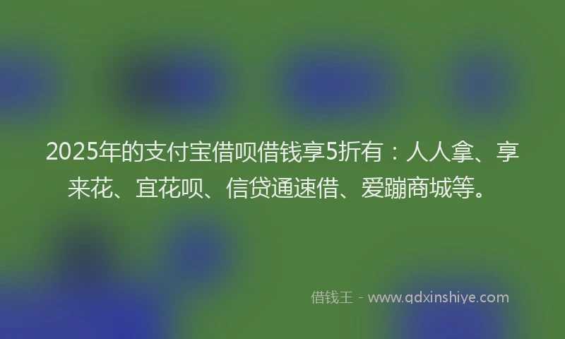 2025年的支付宝借呗借钱享5折有：人人拿、享来花、宜花呗、信贷通速借、爱蹦商城等。