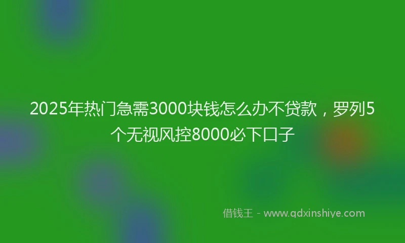 2025年热门急需3000块钱怎么办不贷款，罗列5个无视风控8000必下口子