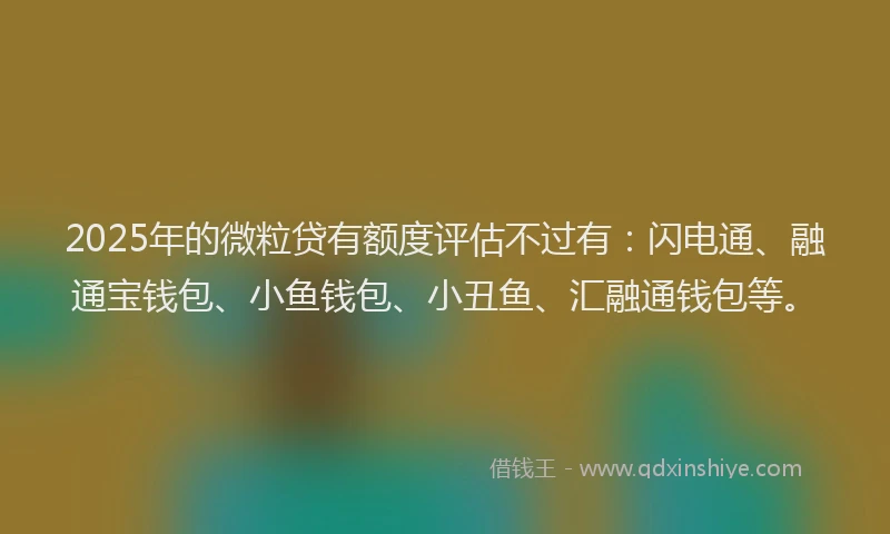 2025年的微粒贷有额度评估不过有：闪电通、融通宝钱包、小鱼钱包、小丑鱼、汇融通钱包等。