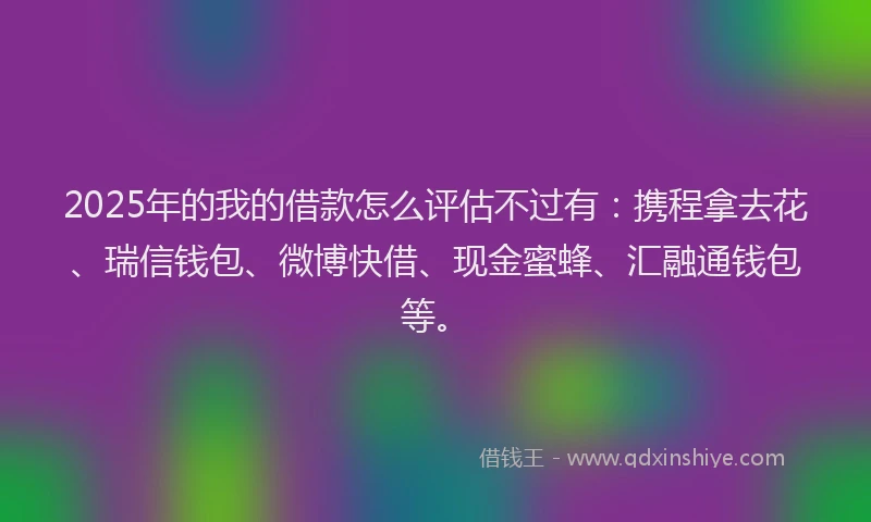 2025年的我的借款怎么评估不过有：携程拿去花、瑞信钱包、微博快借、现金蜜蜂、汇融通钱包等。