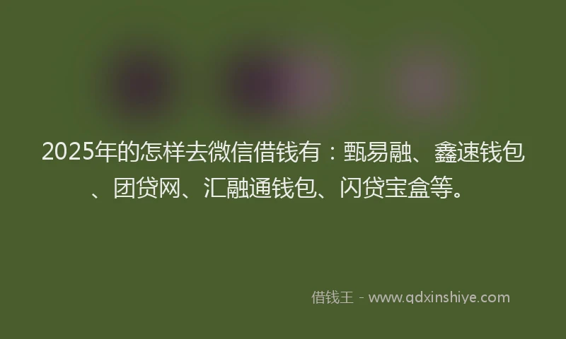 2025年的怎样去微信借钱有：甄易融、鑫速钱包、团贷网、汇融通钱包、闪贷宝盒等。