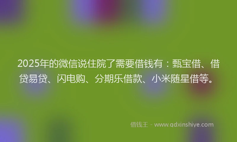 2025年的微信说住院了需要借钱有：甄宝借、借贷易贷、闪电购、分期乐借款、小米随星借等。