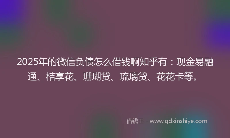 2025年的微信负债怎么借钱啊知乎有：现金易融通、桔享花、珊瑚贷、琉璃贷、花花卡等。