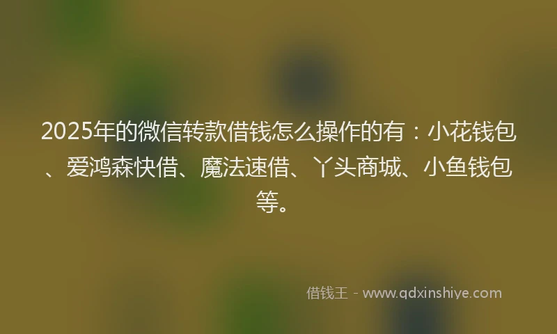 2025年的微信转款借钱怎么操作的有：小花钱包、爱鸿森快借、魔法速借、丫头商城、小鱼钱包等。