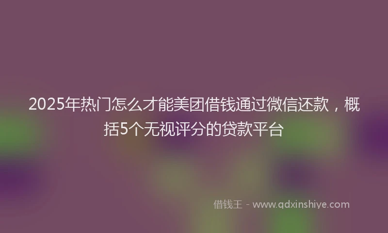 2025年热门怎么才能美团借钱通过微信还款，概括5个无视评分的贷款平台