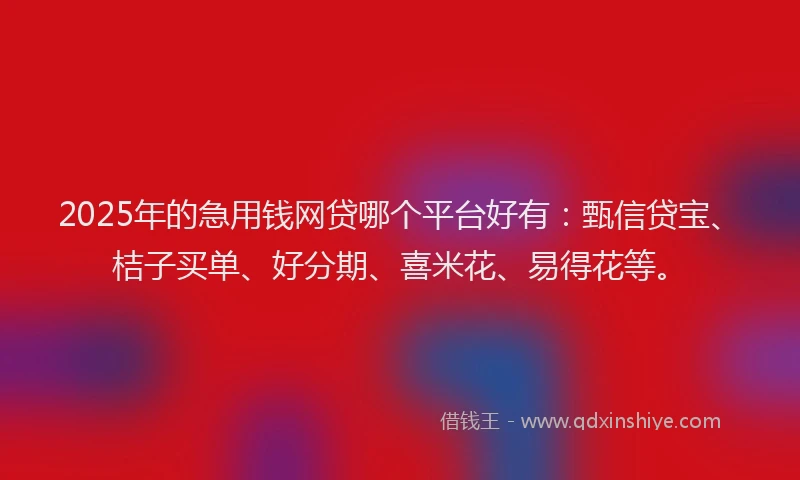 2025年的急用钱网贷哪个平台好有：甄信贷宝、桔子买单、好分期、喜米花、易得花等。
