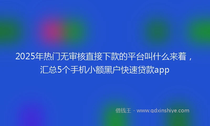 2025年热门无审核直接下款的平台叫什么来着，汇总5个手机小额黑户快速贷款app