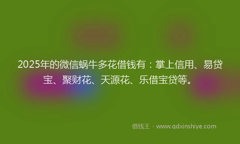 2025年的微信蜗牛多花借钱有：掌上信用、易贷宝、聚财花、天源花、乐借宝贷等。