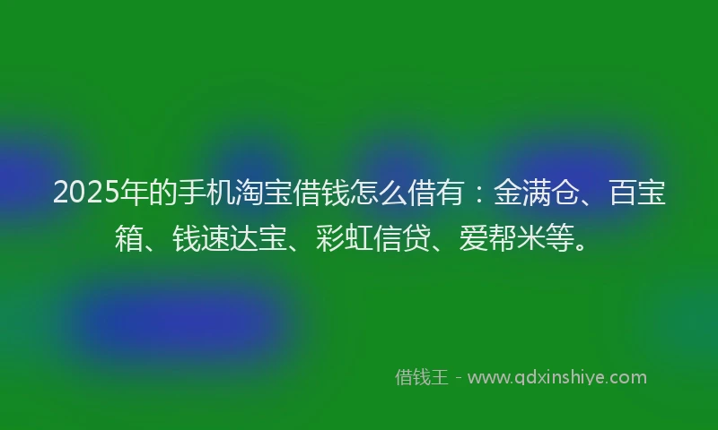 2025年的手机淘宝借钱怎么借有：金满仓、百宝箱、钱速达宝、彩虹信贷、爱帮米等。