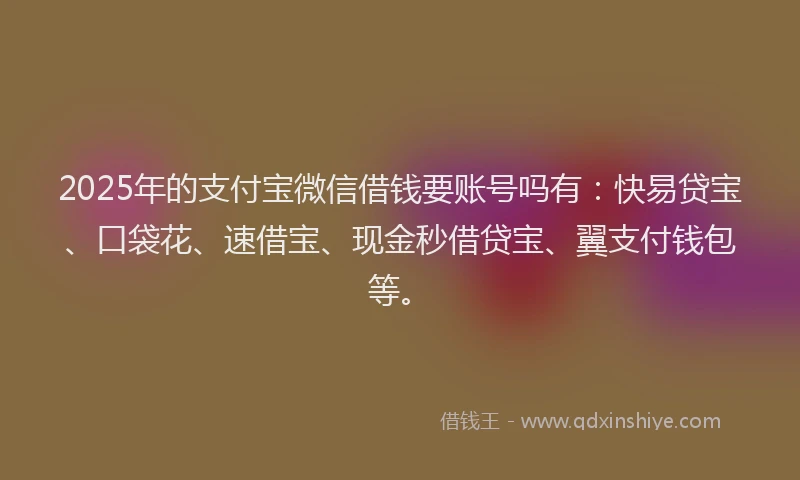 2025年的支付宝微信借钱要账号吗有：快易贷宝、口袋花、速借宝、现金秒借贷宝、翼支付钱包等。
