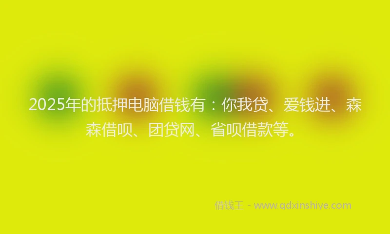 2025年的抵押电脑借钱有：你我贷、爱钱进、森森借呗、团贷网、省呗借款等。