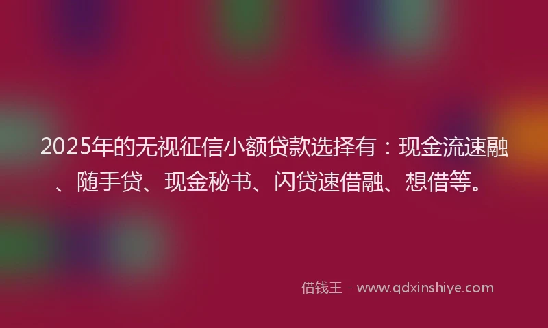 2025年的无视征信小额贷款选择有：现金流速融、随手贷、现金秘书、闪贷速借融、想借等。
