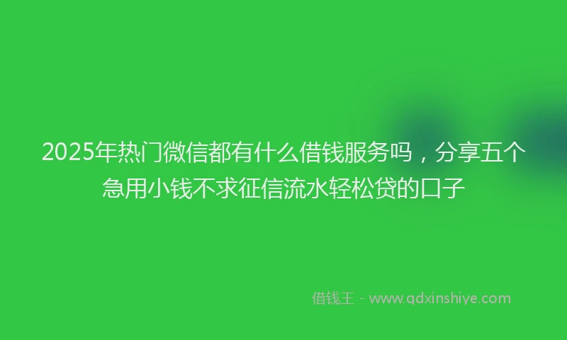 2025年热门微信都有什么借钱服务吗，分享五个急用小钱不求征信流水轻松贷的口子
