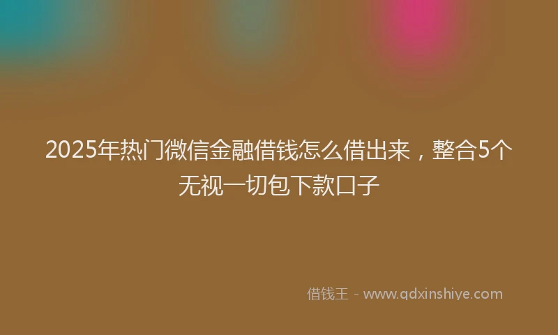 2025年热门微信金融借钱怎么借出来，整合5个无视一切包下款口子