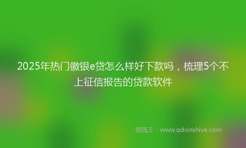 2025年热门徽银e贷怎么样好下款吗，梳理5个不上征信报告的贷款软件
