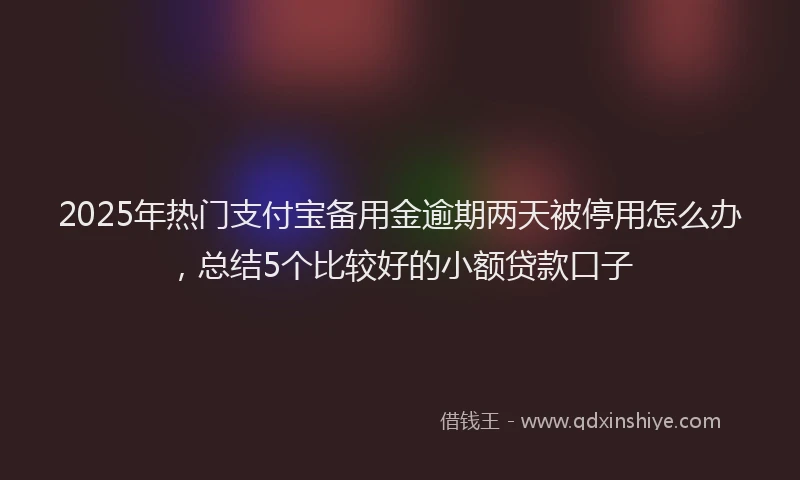 2025年热门支付宝备用金逾期两天被停用怎么办，总结5个比较好的小额贷款口子