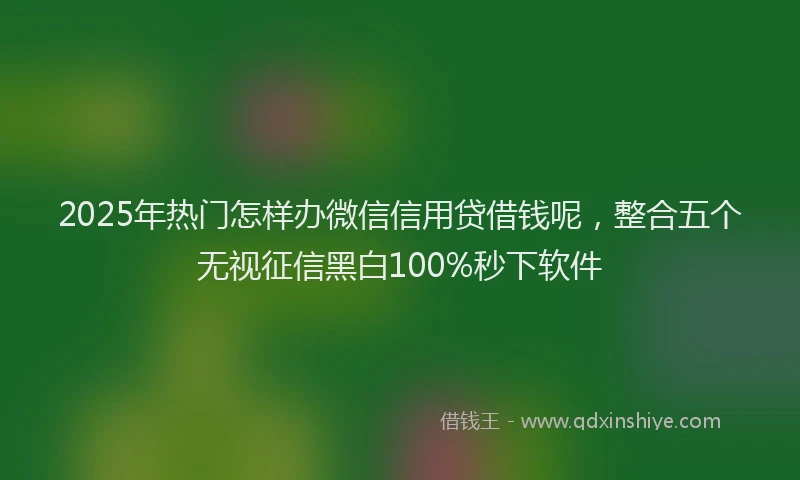 2025年热门怎样办微信信用贷借钱呢，整合五个无视征信黑白100%秒下软件