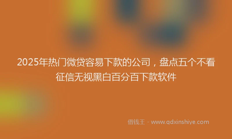 2025年热门微贷容易下款的公司，盘点五个不看征信无视黑白百分百下款软件