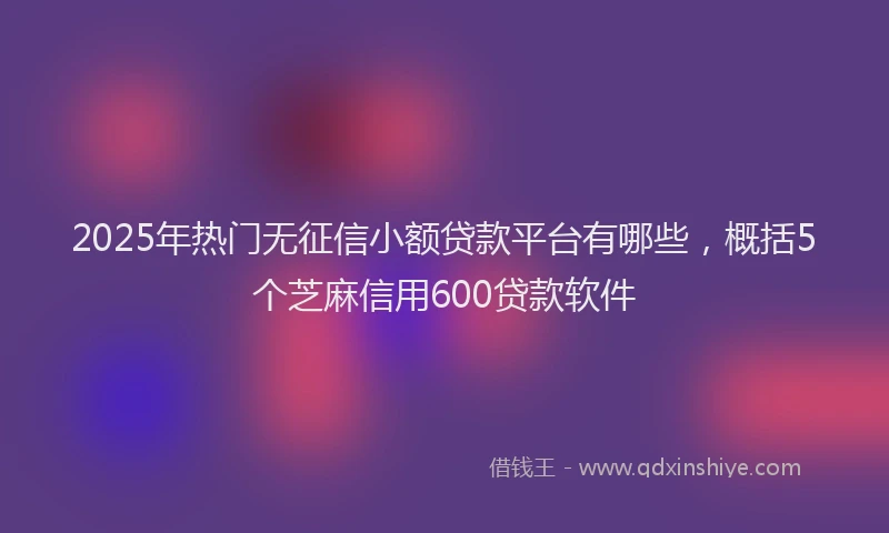 2025年热门无征信小额贷款平台有哪些，概括5个芝麻信用600贷款软件