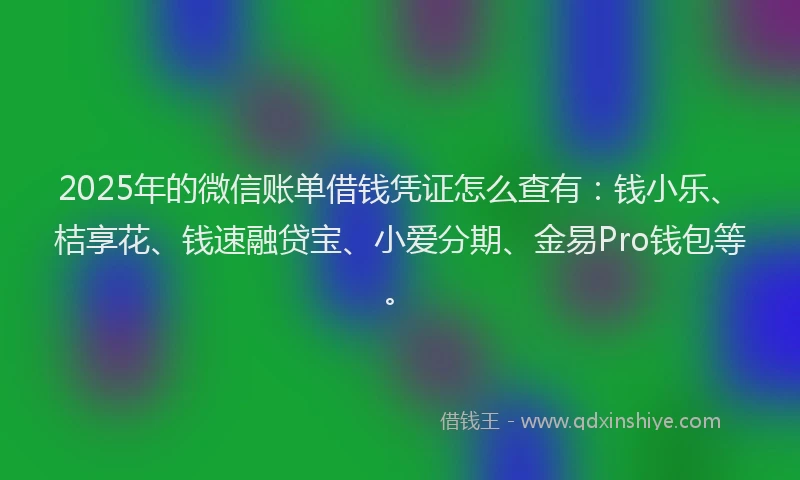 2025年的微信账单借钱凭证怎么查有：钱小乐、桔享花、钱速融贷宝、小爱分期、金易Pro钱包等。